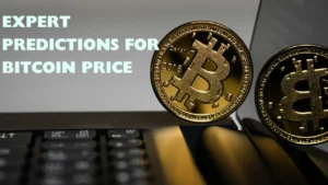 Expert Predictions for Bitcoin Price